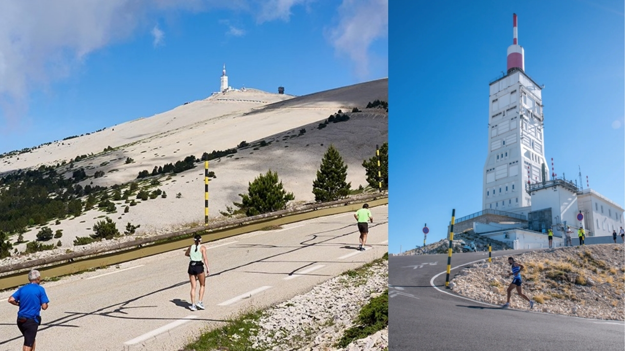 Semi-marathon du Mont Ventoux 2026 : le défi vertical qui fascine toujours plus les coureurs