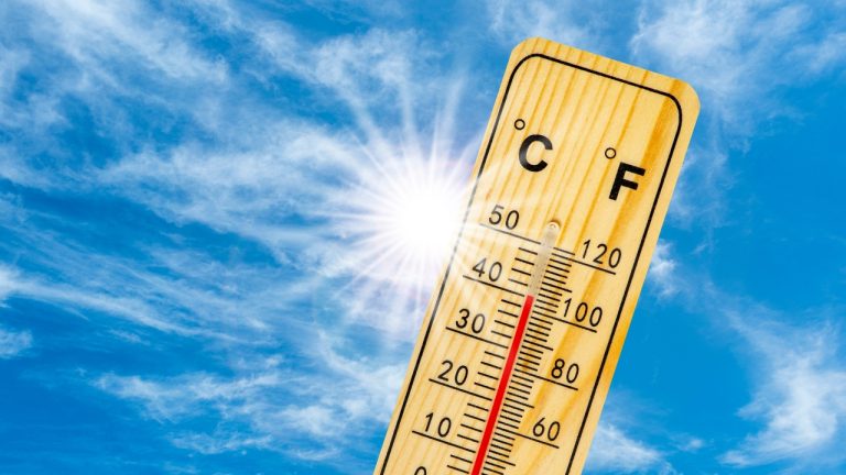 La canicule paralyse les courses sur route et les trails ce week-end